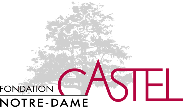 Castel - Anne Catherine Franzetti atelier de graphisme : logotypes, affiches, édition, signalétique, cartes de visite, prospectus, packaging, valais martigny - cat atelier